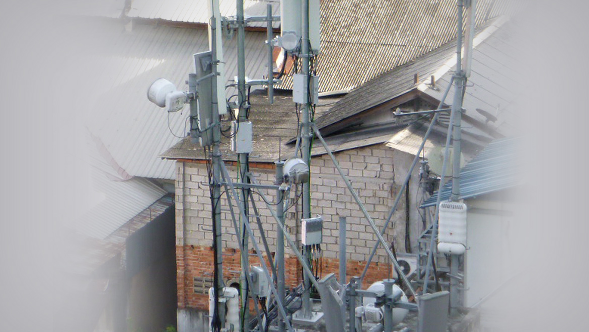 Mobile Network and Microwave