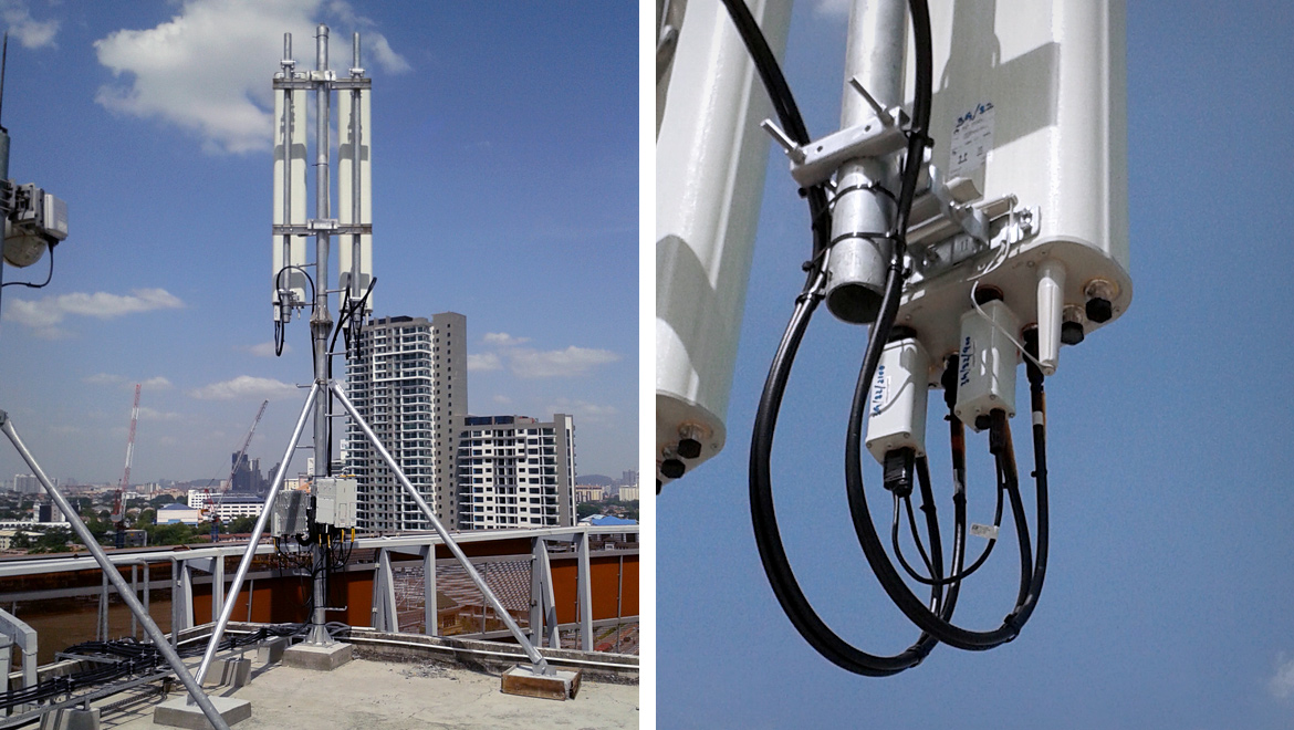 Mobile Network and Microwave